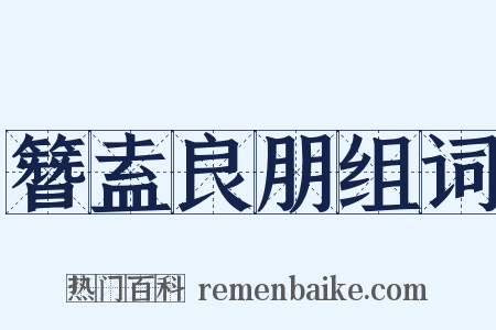簪盍良朋组词是什么意思的图片